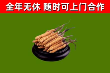 蒲江烟酒回收冬虫夏草.jpg
